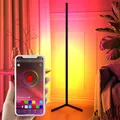 Tuya-Lampadaire LED RVB Intelligent avec Télécommande Lampadaire d'Angle Moderne Éclairage sur