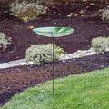 Alpine 10" Glass Stake Birdbath w/Flowers & Dragonfly Glass | 25 H x 10 W x 10 D in | Wayfair KBD160