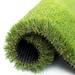 ColourTree Realistic Deluxe Artificial 1.98 inch Height Grass Synthetic Thick Lawn Turf Carpet | 1.98 H x 84 W x 420 D in | Wayfair TGC50-7' x 35'