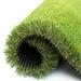 ColourTree Realistic Deluxe Artificial 1.98 inch Height Grass Synthetic Thick Lawn Turf Carpet | 1.98 H x 48 W x 552 D in | Wayfair TGC50-4' x 46'