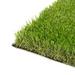 ColourTree Realistic Deluxe Artificial 1.78 inch Height Grass Synthetic Thick Lawn Turf Carpet | 1.78 H x 72 W x 372 D in | Wayfair TGC45-6' x 31'