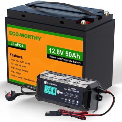12V 50Ah LiFePO4 Akku Lithium batterie 12V und 10A Batterie Ladegerät BatterieLadegerät - Eco-worthy Image