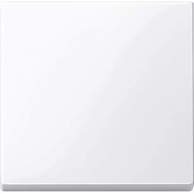 Wippe, aktivweiß glänzend, System m 432125 - Merten Image