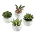 TETOU Miniature Artificial Succulents Indoor Small Fake House Plants in Round White Geometric Ceramic Pots Set of 4