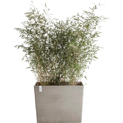 Blumentopf ECOPOTS "Paris mit Rollen 85 Taupe", grau (taupe), B:85,2cm H:65,8cm T:39,5cm Ø:81,6cm, Kunststoff, Pflanzgef