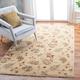 Safavieh Hand-knotted Agra Olivia Traditional Oriental Wool Rug Beige 6 x 9 6 x 9 Indoor Living Room Bedroom Dining Room