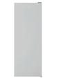 Oceanic - Congélateur armoire 175L - Froid statique - classe e - silver