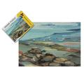 Jigsaw Puzzles 2000 Pieces - Oil Painting Beach Rocks Paper puzzle - Puzzles 2000 Piece Family Games Puzzles for Adults 2000 Piece Funny Challenging Puzzles 100 * 70cm