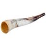 Thomann Cow Horn polished