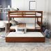 Estivalis Full Over Full Solid Wood Standard Bunk Bed w/ Trundle by Harriet Bee Wood in Brown | 59.9 H x 57 W x 79.5 D in | Wayfair