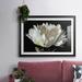 Winston Porter White Peony Framed On Paper Print in Black/Brown/White | 27 H x 39 W x 1.5 D in | Wayfair 7CC1E8C749724249A482ACCECA3E1890