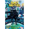 Black Panther by John Ridley Vol. 1: The Long Shadow - John Ridley