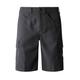 THE NORTH FACE Horizon Shorts Asphalt Grey 32