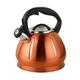 LAJUU Kettles,Pumpkin Pattern Electric Kettle Whistle Kettle Large Capacity Thick Material Household 304 Stainless Steel Boiling Water Efficiently Induction Cooker Gas Stove/Orange