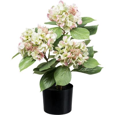 Kunstpflanze CREATIV GREEN "Hortensienbusch", grün (grünrosa), H:53cm, Kunstpflanzen, mit traumhaft schönen Blüten