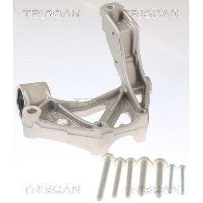 TRISCAN Lagerbock, Achskörper vorne links für SKODA VW SEAT AUDI 6Q0199293D 8500 295262