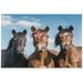 Thought Horse 500 Piece Puzzle for Adults Family Game Intellective Toys Wall Art Work for Educational Gift Home Decor 20.5 x14.9