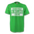 Gildan David Healy Northern Ireland Legend Tee (green) Large (42-44 inch)