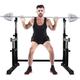 Fitness aid Dumbbell Bench Max Load Barbell Rack Dip Stand, Adjustable Squat Stand Rack Sturdy Steel Squat Barbell Free Bench Press Stands Gym/Home Gym Portable Dumbbell Racks Stands