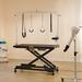 CO-Z 47" Electric Pet Grooming Table Dog Grooming Station Height Adjustable | 40.2 H x 47 W x 23.4 D in | Wayfair DGT-EX50-BK-BNWF-1