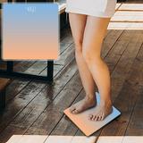 Hesxuno Gradual Weight Scale Home Intelligent Bluetooth Height Electronic Scale Human Scale Health Body Scale