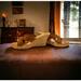 Michael Kors Shoes | Michael Kors Vintage Espadrille Suede Mules. Gently Worn. Super Vintage Comfy | Color: Tan | Size: 9