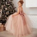 Robe Fille Robe Trapèze Enfants Petit Couleur Pleine Mariage Soirée Occasion spéciale Ruché Maille Dos Nu Rose Claire Dentelle Maxi Sans Manches Elégant Princesse Magnifique Robes Automne Eté Standard