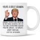 vous êtes un grand fils Trump tasse, grand fils Trump tasse à café anniversaire gag cadeaux pour fils, drôle Trump discours tasse fils présent 11oz tasse en céramique blanche
