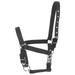 Padded Horse Halter Bridle Headstall Fully Horse Halter Horse Bridle Bridle Bridle Protection Nylon