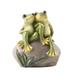 Nicoxijia Outdoor Frog Sculptures Resin Garden Turtle Statues Frog Gifts Sculptures Decorations for Patio Yard Lawn Porch