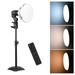 Dadypet Photography Lamp L-ED Lamp Socket + Socket + Stand 3200K-5500K + E27 + Remote Studio 150W Dimmable 3200K-5500K E27 Lamp Socket Stand + Remote Kit 150W Dimmable + E27 Lamp + Stand + AINN