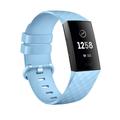 Compatible with Fitbit Band Charge 4/Charge 3/Charge 3 SE Milanese Loop Stainless Steel Strap Mesh Magnetic Band Replacement Accessories Wrist Strap