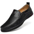 Men's Unisex Loafers Slip-Ons Comfort Loafers Business Casual Daily Office Career Leather Loafer Light Brown Red Brown Black Spring Fall