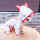 Dog Raincoat Transparent Waterproof Rainbow Raincoat Teddy Bear Small And Medium Dog Raincoat For Small And Medium Dog