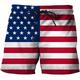 Men's Board Shorts Swim Shorts Swim Trunks Drawstring with Mesh lining Elastic Waist American Flag Quick Dry Short Holiday Beach Hawaiian Casual Wine Red Micro-elastic