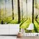 Landscape Wallpaper Mural Green Forest Wall Covering Sticker Peel and Stick Removable PVC/Vinyl Material Self Adhesive/Adhesive Required Wall Decor for Living Room Kitchen Bathroom
