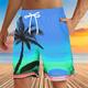 Mens Swim Shorts with Pockets Quick Dry Swim Trunks with Mesh Lining Coconut Tree Hawaiian Shorts Board Shorts Waterproof Beach Swimwear