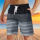 Mens Swim Shorts with Pockets Quick Dry Swim Trunks with Mesh Lining Coconut Tree Hawaiian Shorts Board Shorts Waterproof Beach Swimwear