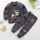 Kids Boys 2 Pieces T-shirt Pants Long Sleeve Owl A01 A02 Animal Cartoon Crewneck Summer Spring Basic Home 3-7 Years