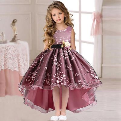 Kids Girls' Dress Floral Solid Colored Sleeveless Wedding Party Ruched Mesh Cute Princess Polyester Asymmetrical Floral Embroidery Dress A Line Dress Tulle Dress Summer Spring 3-12 Years Pink Wine