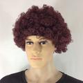 Fans Wig Color Cosplay Wig Burlesque Clown It Yaki Afro Curly Bob Wig Medium Length Beige Synthetic Hair Kid's Cosplay Creative Funny Red Carnival Festival