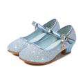 Girls' Cosplay Shoes Heels Glitters Cosplay Heel Cosplay Lolita Rubber PU Cosplay Big Kids(7years ) Little Kids(4-7ys) School Party Birthday Walking Shoes Outdoor Buckle Purple Rosy Pink Blue Fall