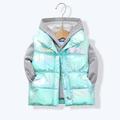 Kids Unisex Vest Coat Outerwear Solid Color Letter Sleeveless Coat School Cool Adorable Daily Colorful disposable vest-blue Colorful disposable vest-pink Colorful disposable vest-sky blue Spring Fall