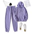 Women's Tracksuit Sweatsuit 2 Piece Casual Long Sleeve Breathable Quick Dry Moisture Wicking Gym Workout Running Jogging Sportswear Activewear Solid Colored Dark Grey Violet Black
