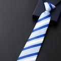 Men's Ties Neckties Stripes and Plaid Formal Evening Wedding Party Festival