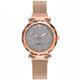 Rose Gold Women Watch Luxury Magnetic Starry Sky Lady Wrist Watch Mesh Female Clock