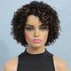 Ombre Short Curly Human Hair Wigs For Black Women Short Curly Wigs Human Hair Highlighted Piano Color Side Part Wigs For Older Women