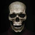 Full Head Skull Mask with Movable Jaw Halloween Scary Mask Head Realistic Latex Mask