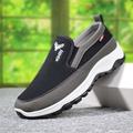 Men's Loafers Slip-Ons Cloth Loafers Comfort Shoes Walking Casual Outdoor Daily Mesh Breathable Loafer Black Navy Blue Grey Summer