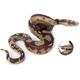 Realistic Snake Toy Rubber Snake Figure for Halloween Prank PropsLifelike Rubber Snakes Boa Constrictor FigurinesScare Birds Garden PropsPlastic Python Model Prank Gag Gift for April Fool's Day